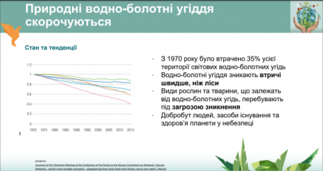 Снимок экрана 2025-02-02 221120